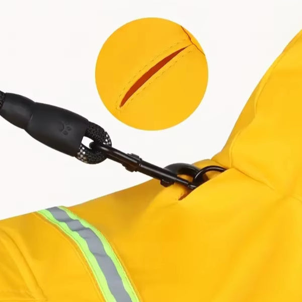 DryDoggy: Chaqueta impermeable. Tu perro seco y limpio después de la lluvia.